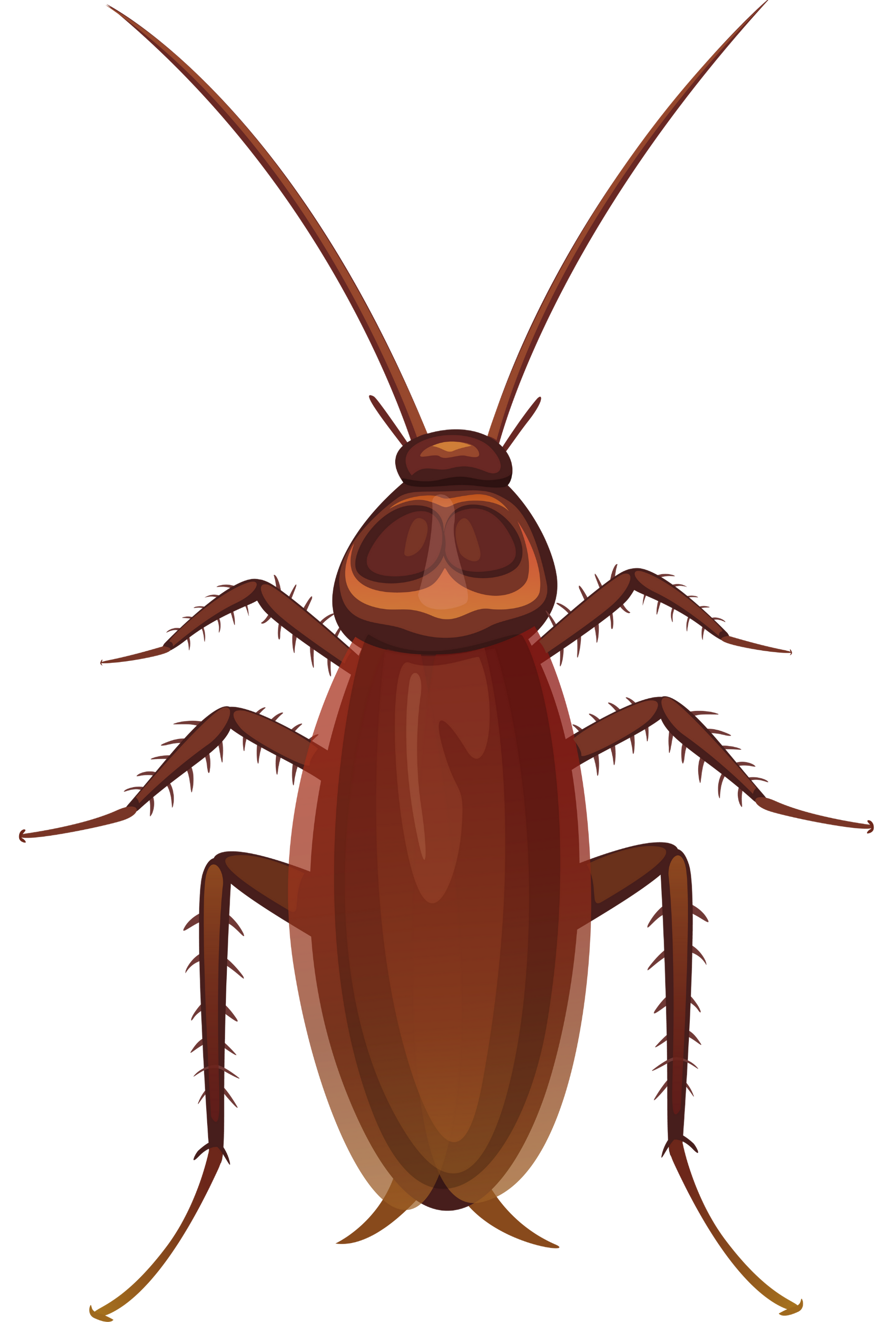 How Cockroach Control Works
