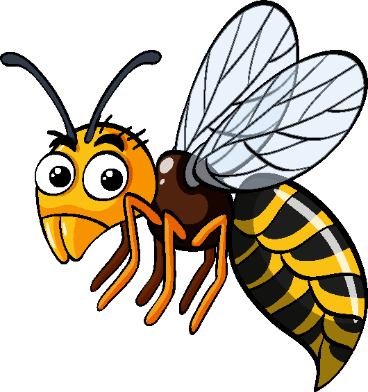How Bee & Wasp Control Works