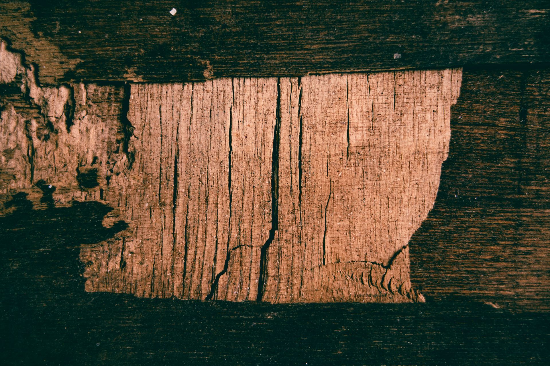 Close-up of a rough wooden surface with a pinkish scraped patch against dark wood grain.