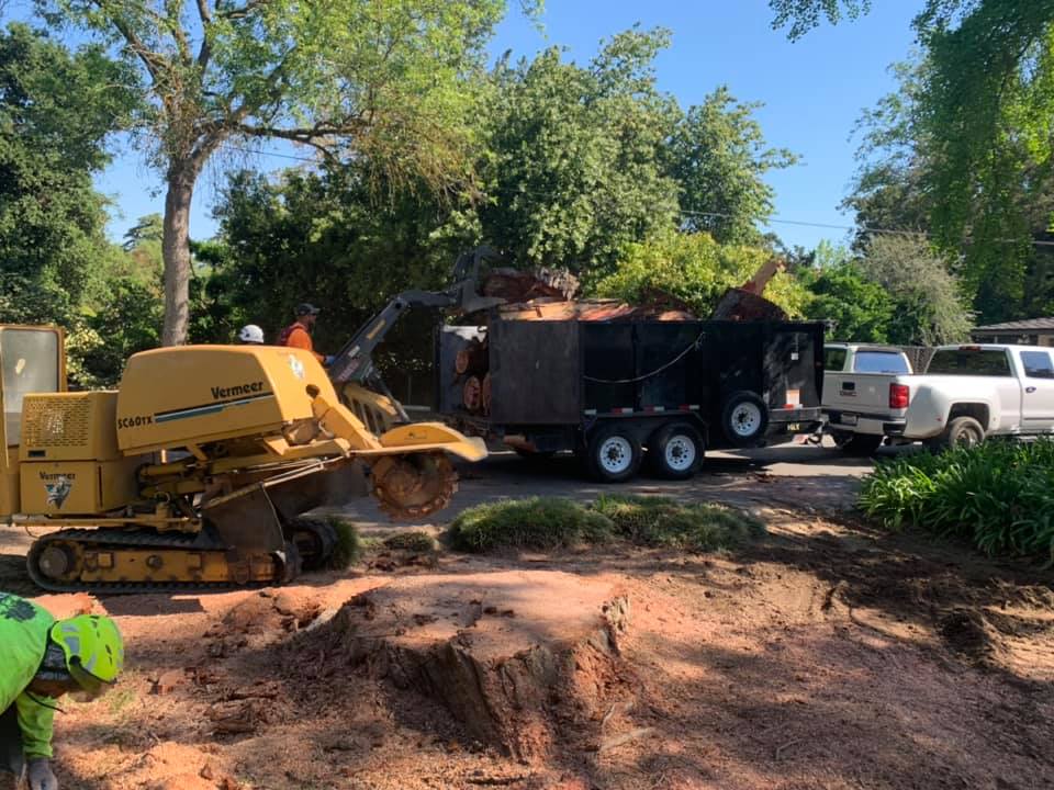 Tree Removal Team — Fresno, CA — Travis Tree Service