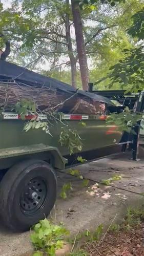 Tree cutting 2