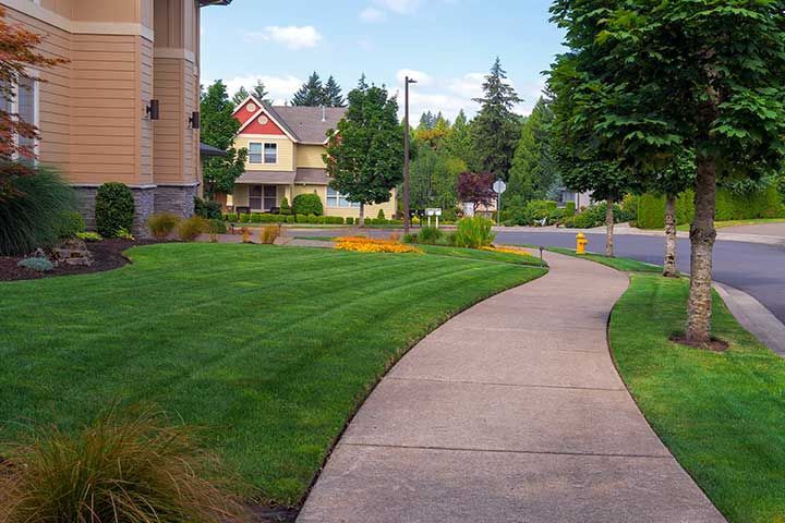 House Green Grass Lawn Front Yard Freshly Mowed 
