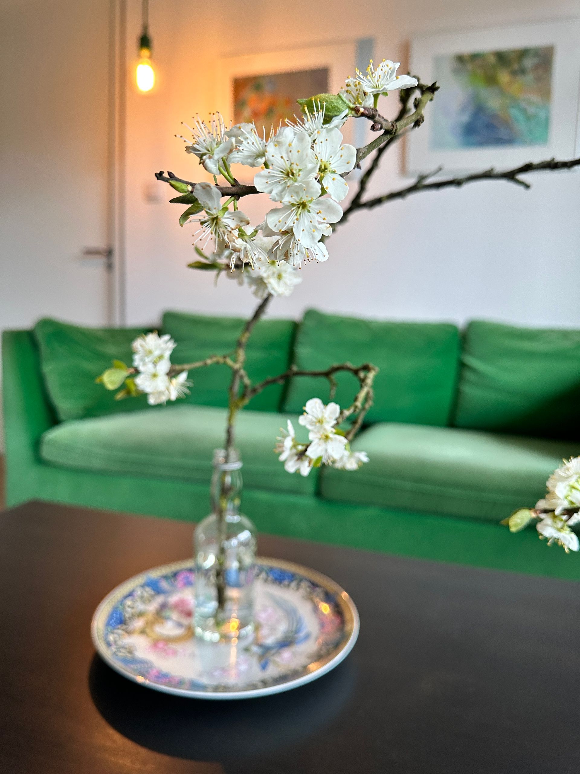 bloesem en groene bank