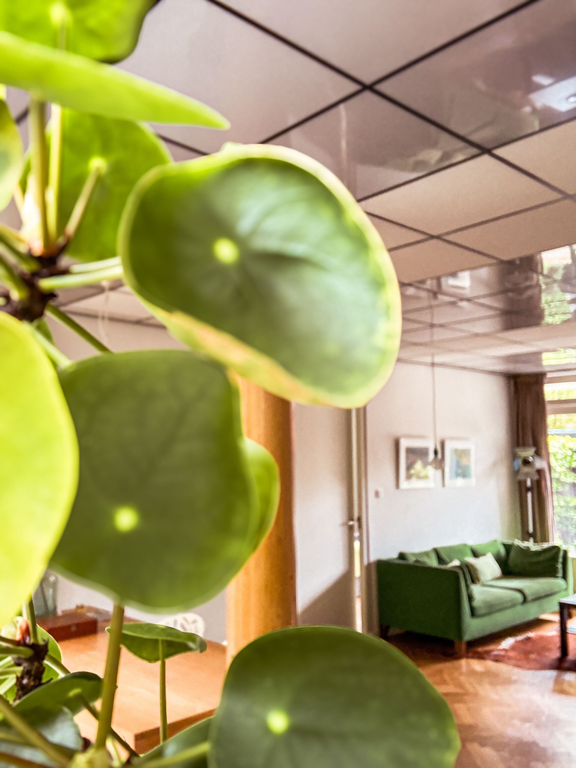 doorkijkje naar de woonkamer
