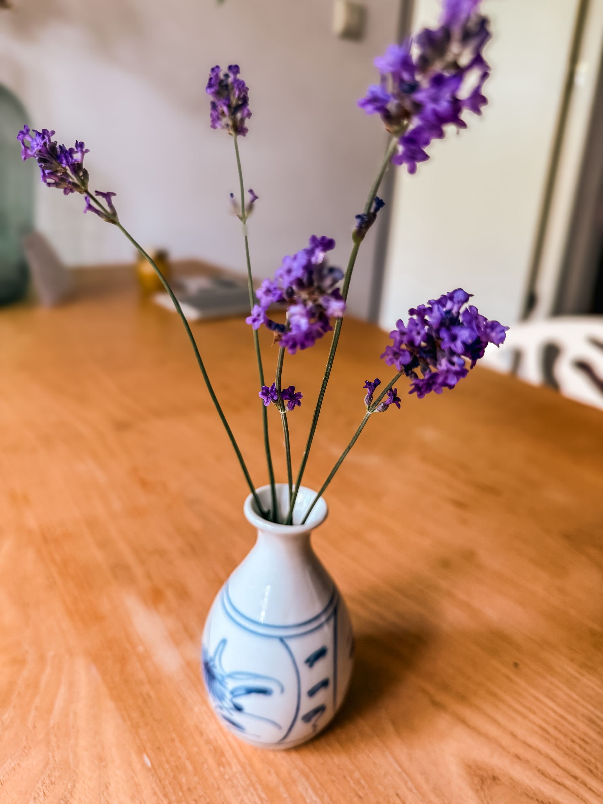 lavendel