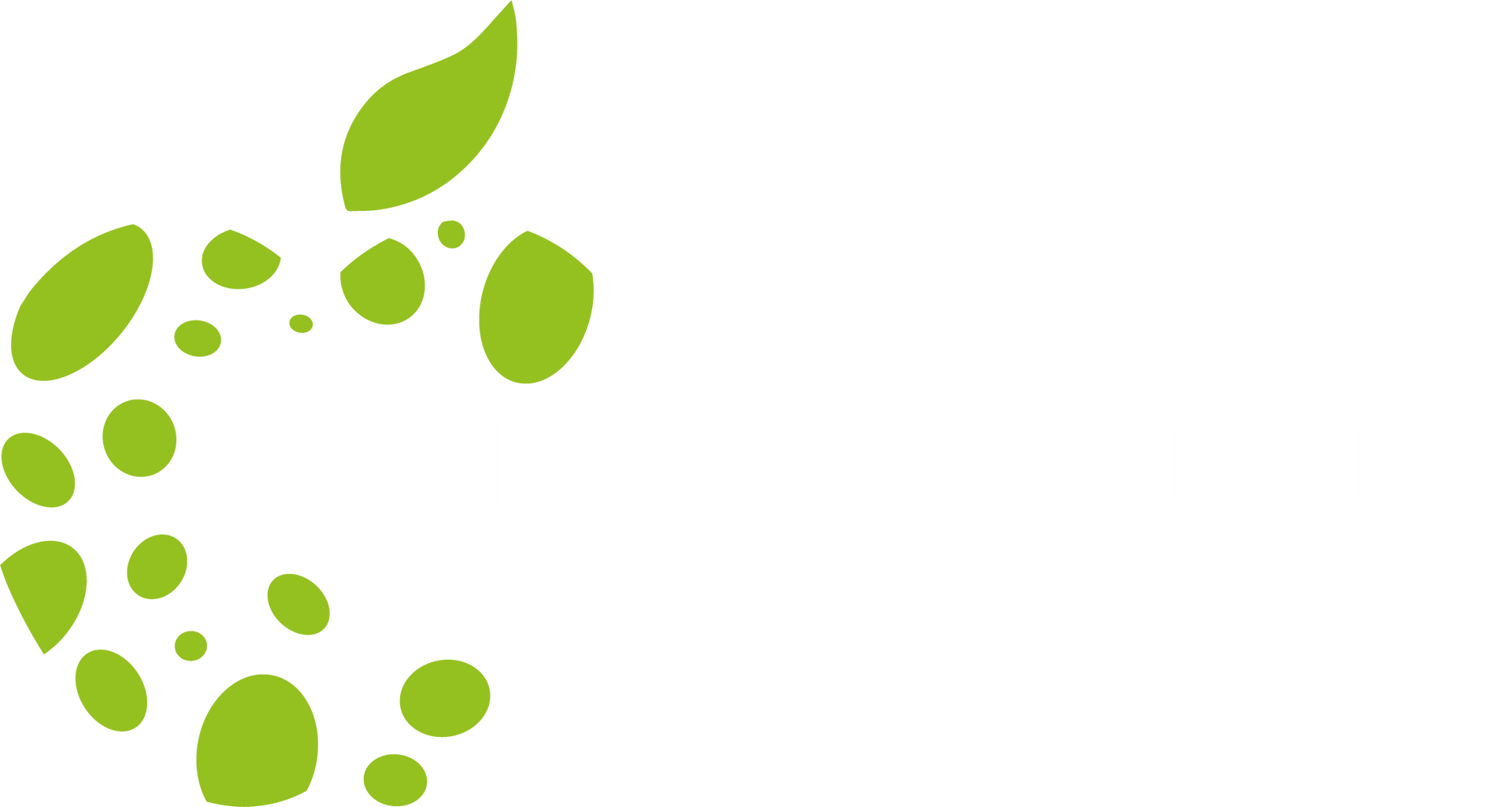 Kom ook overnachten in de Oude Kleuterschool! logo de oude kleuterschool
