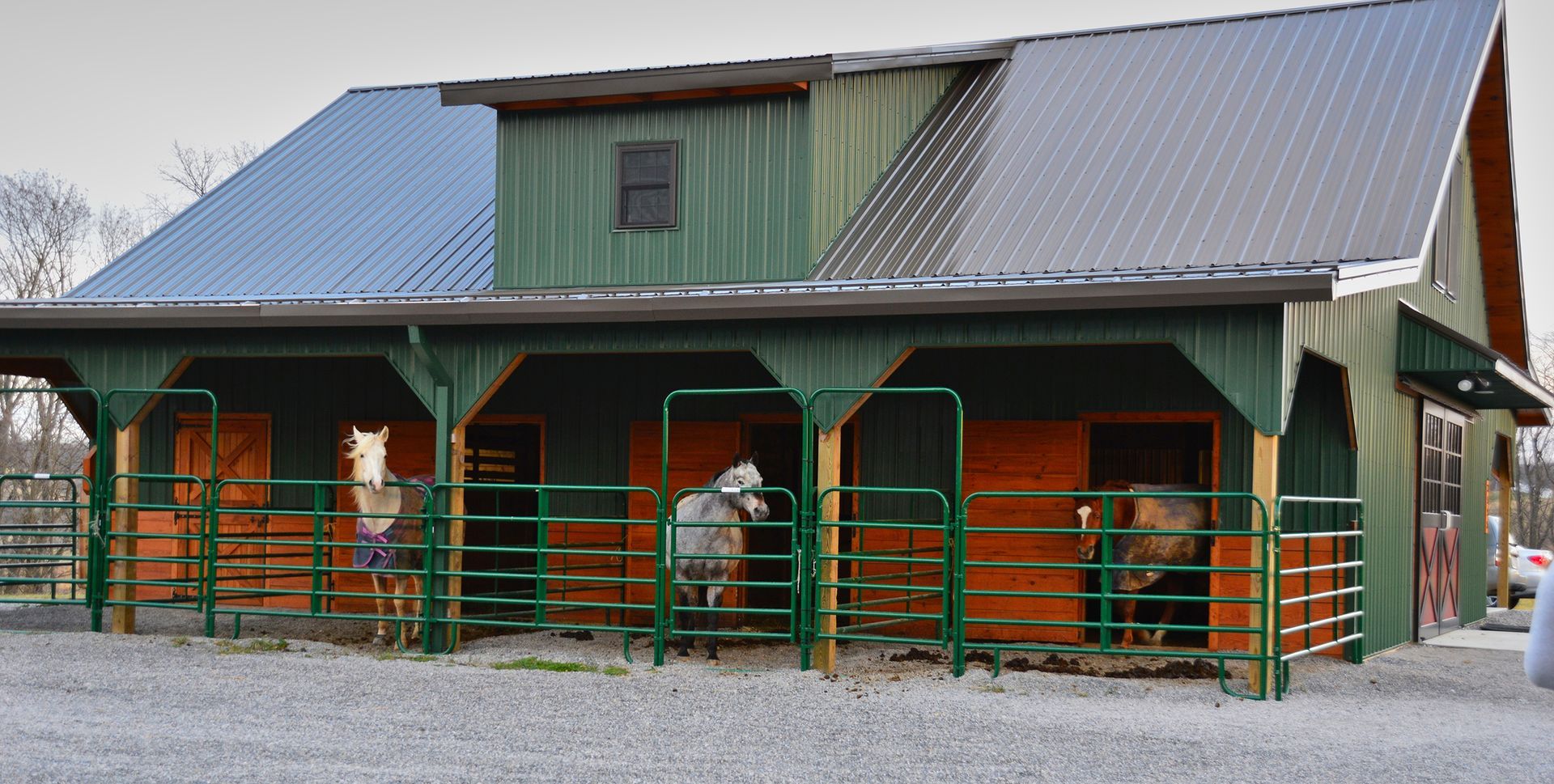 Two horses are standing in front of a green barn
