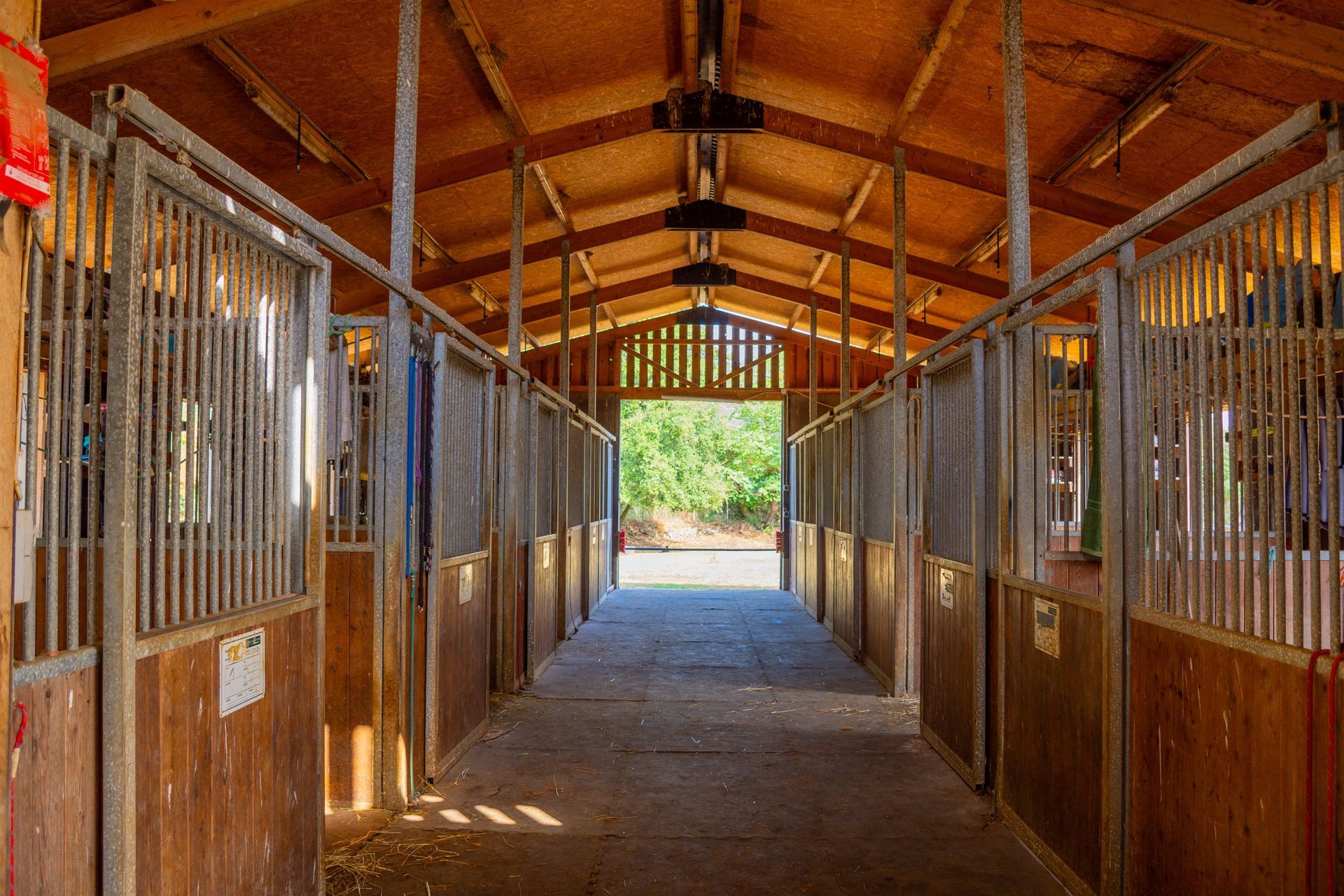 A row of horse stables lined up in a barn.