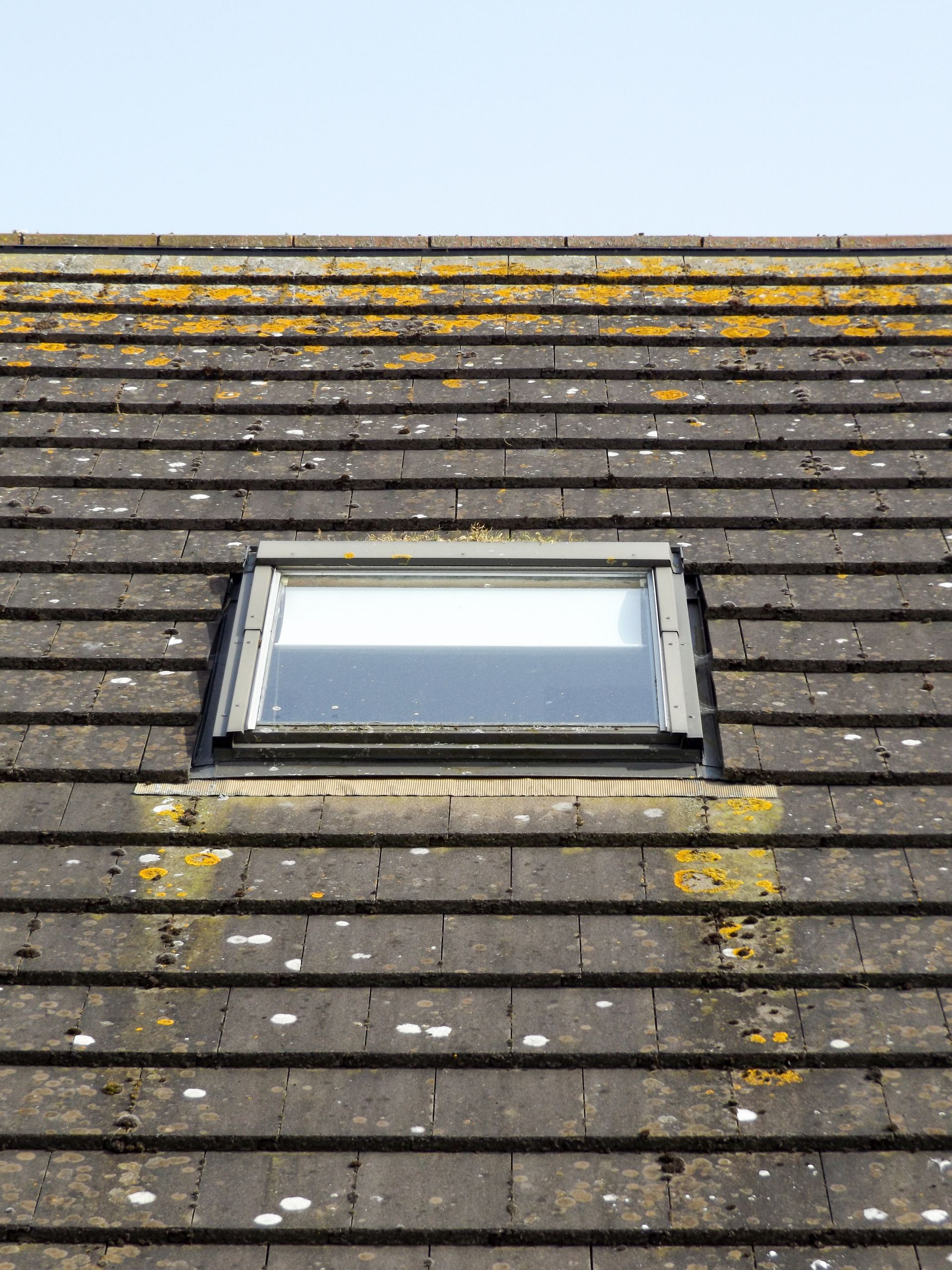 A roof with a skylight in the middle of it