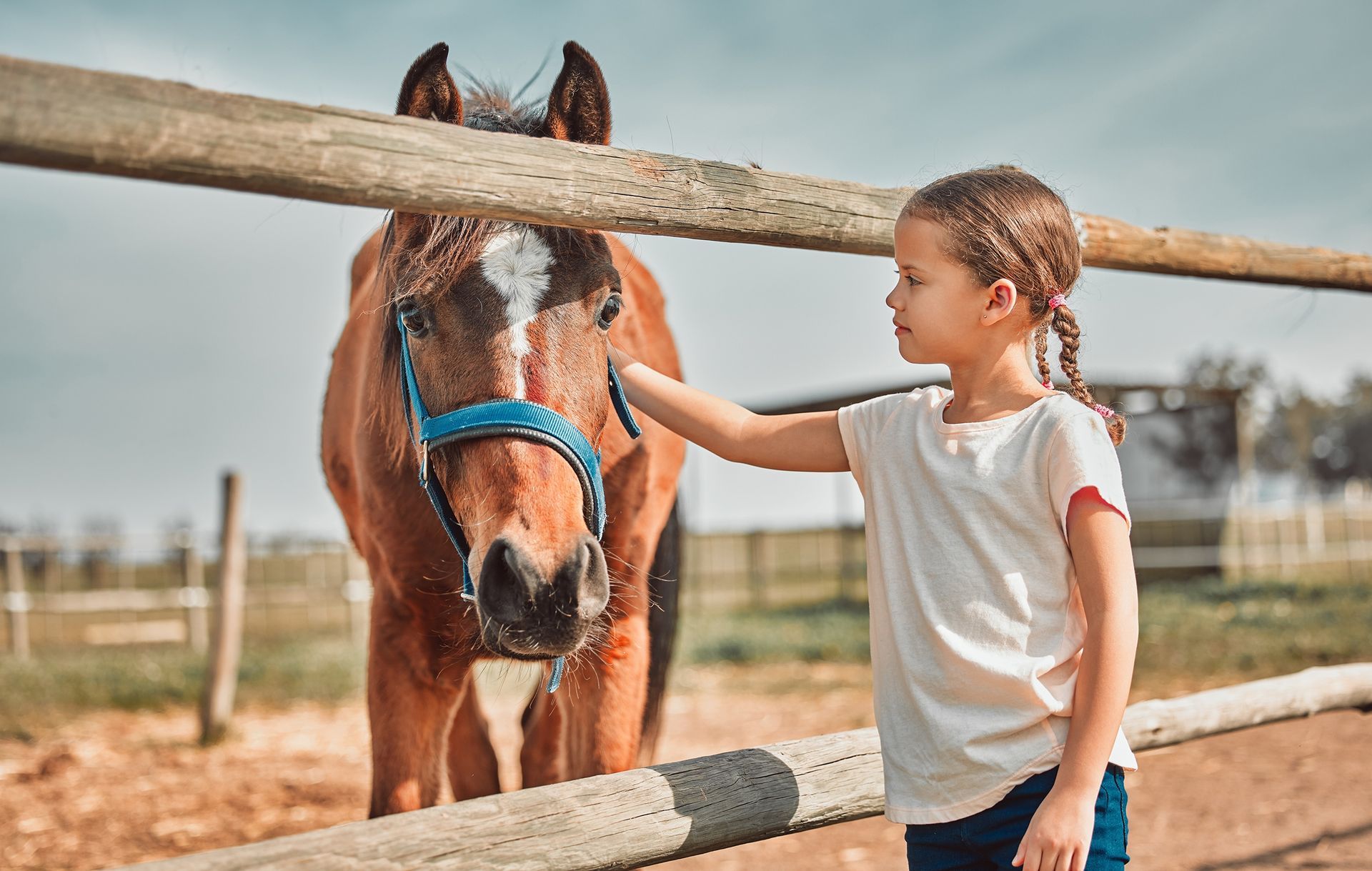 A little girl is petting a horse behind a fence.