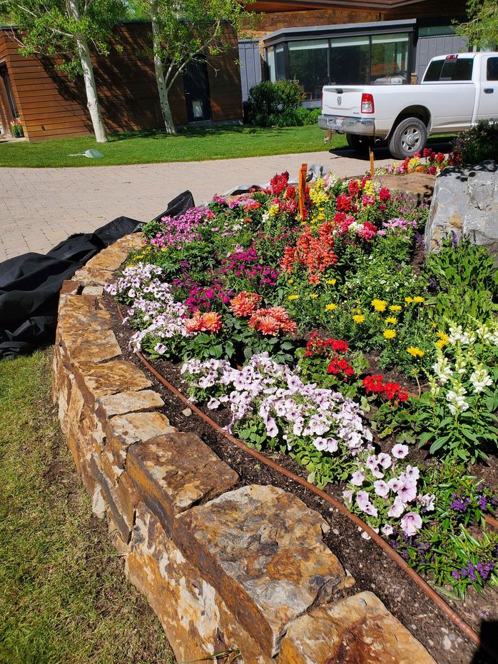 Stone flower bed with colorful blooming flowers in a front yard beside a white pickup truck.