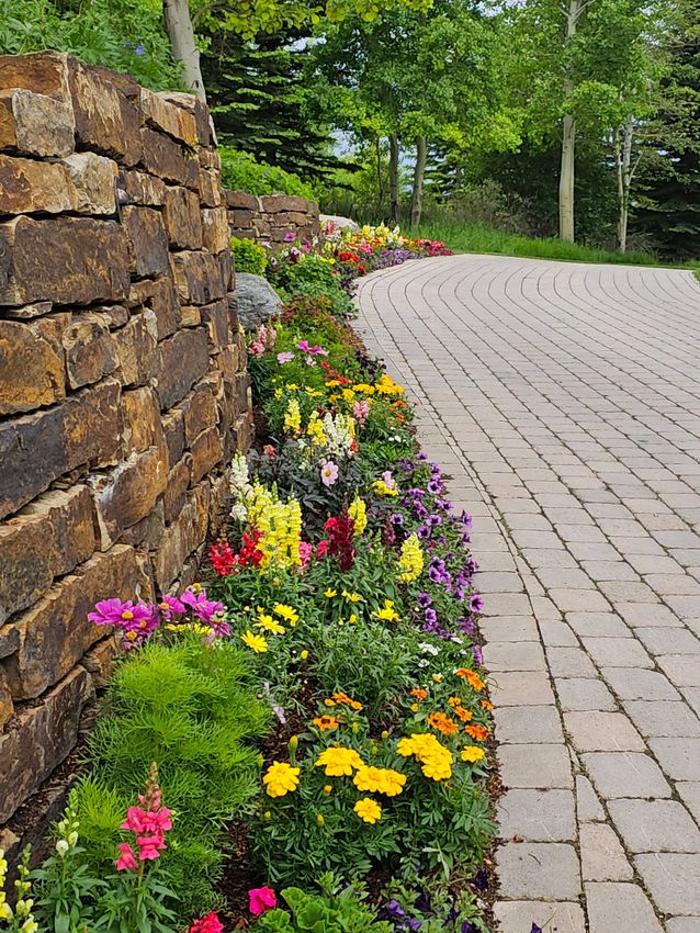 Stone garden wall beside a curved cobblestone path bordered by bright yellow, pink, and purple flowers.