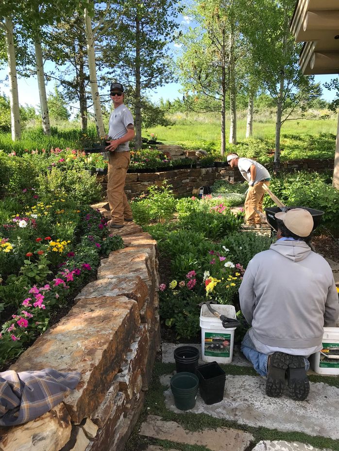 Gardeners planting flowers in a sunlit garden beside a stone wall and trees.