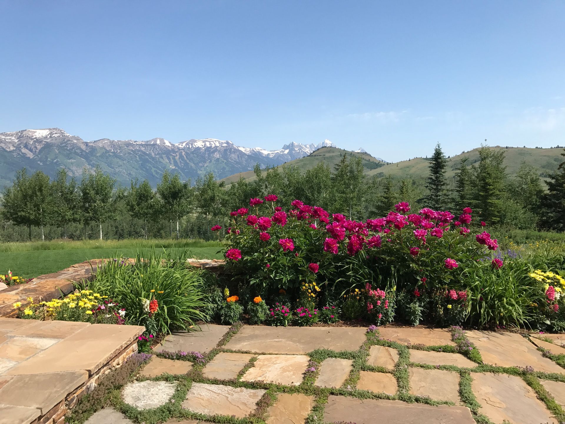 Mountain garden with pink flowers, stone patio, and snow-capped peaks in the background Jackson WY