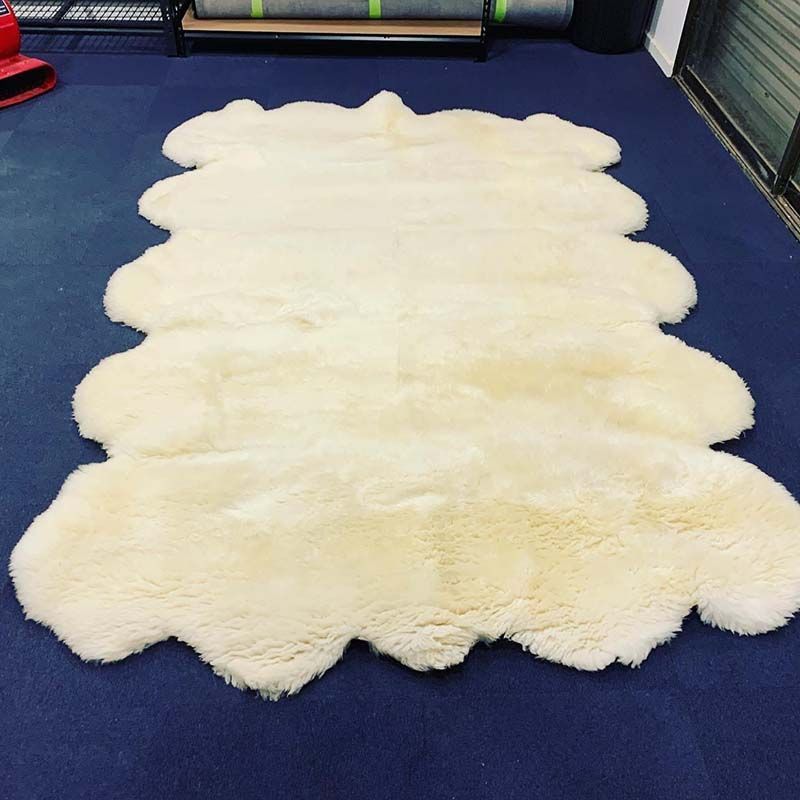Rug protection in Bendigo