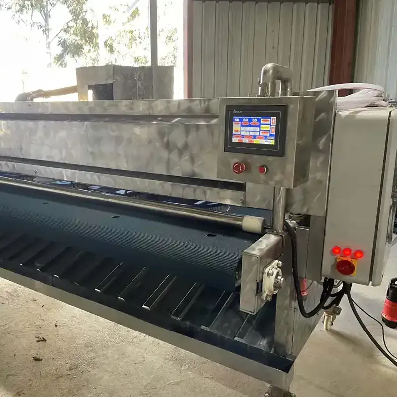 Rug wringing machine during Rug washing in Bendigo