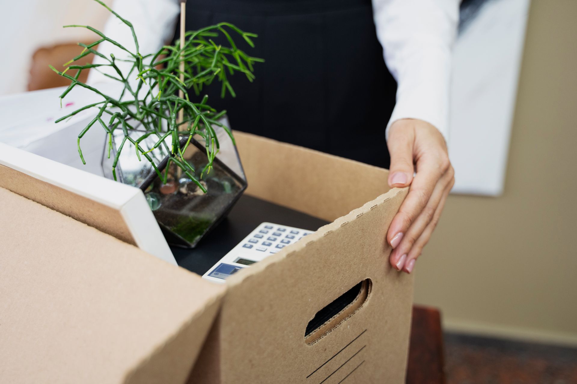 A woman is holding a cardboard box with a plant in it.