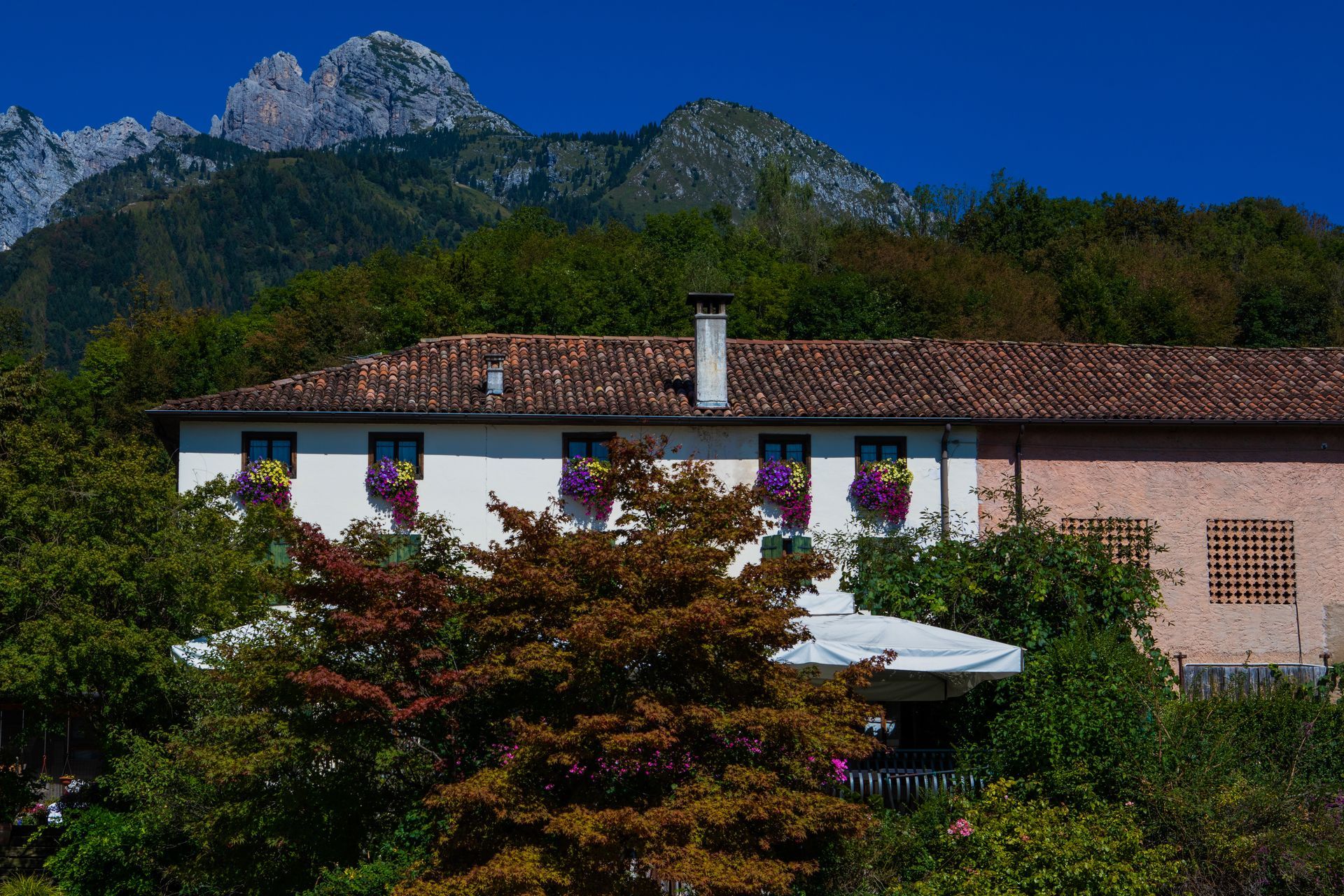 Casa con fioriere e tetto di tegole rosse, con vista sulle montagne e sugli alberi.