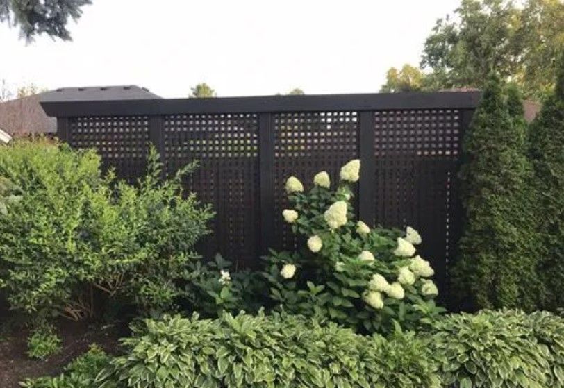 Black lattice fence with lush green shrubs and white flowers.