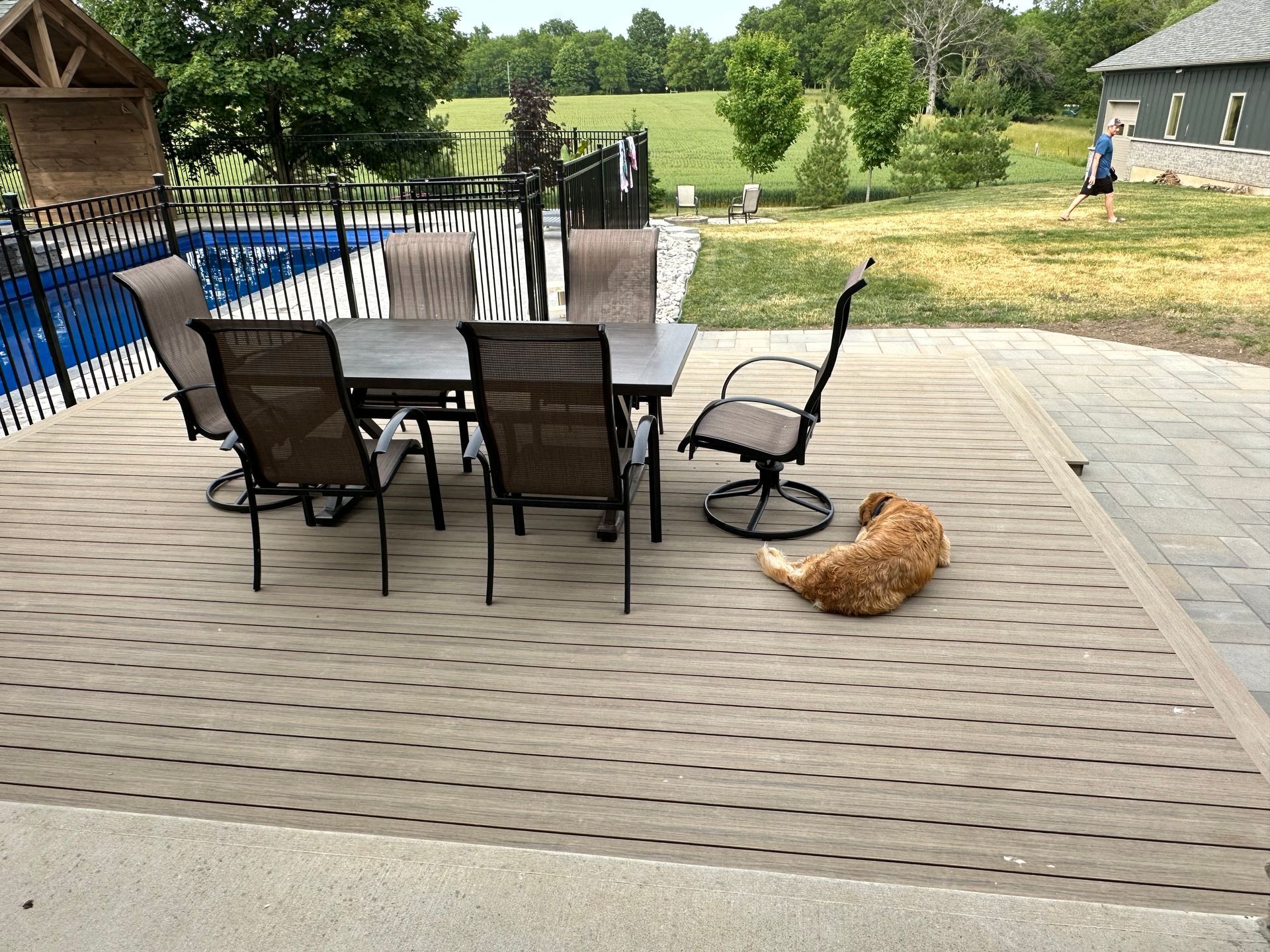 A dog resting on a deck next to outdoor furniture and a pool, with a grassy field in the background.