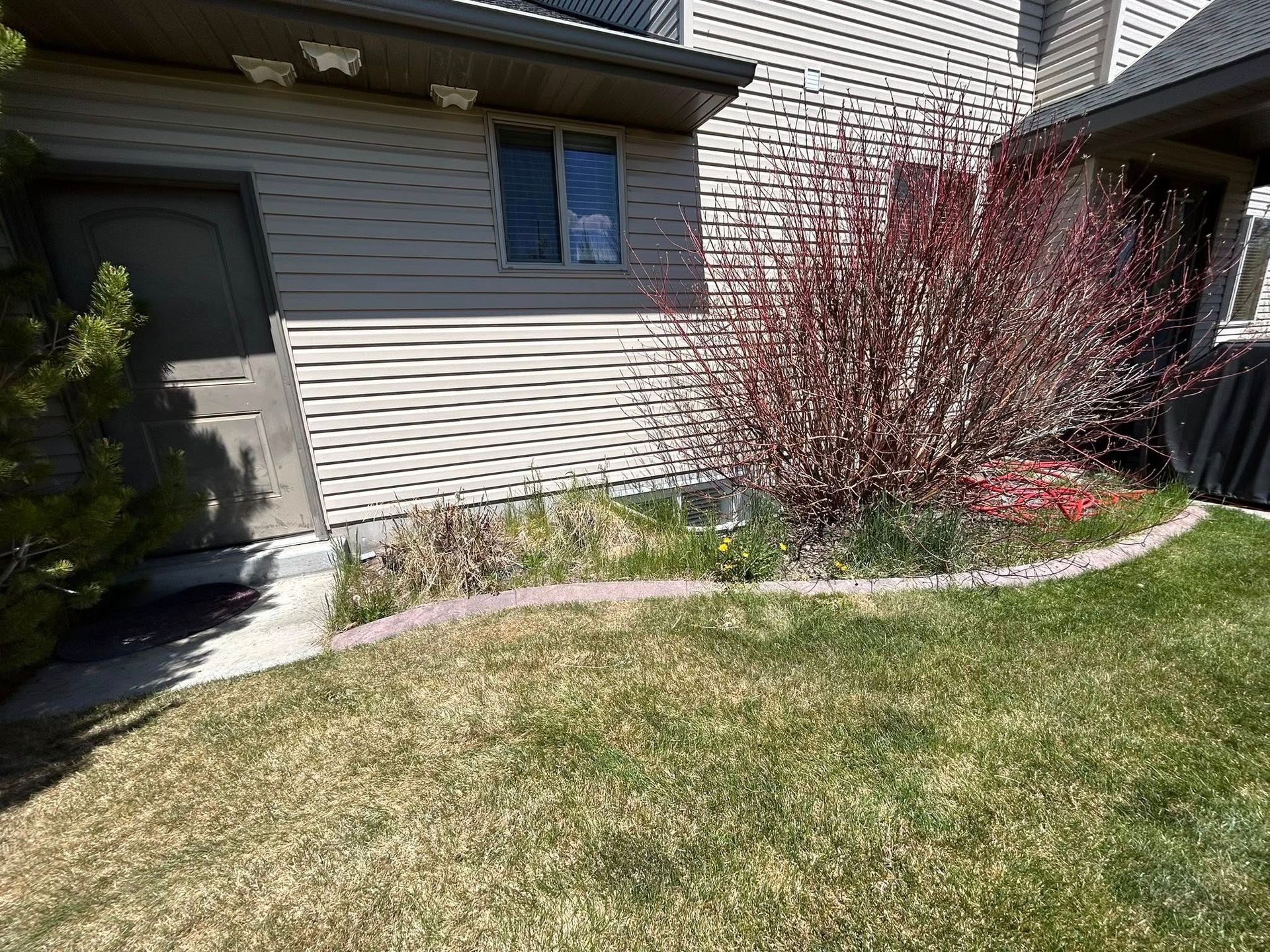 Suburban house exterior with a front lawn, stone walkway, and red shrub near the entryway