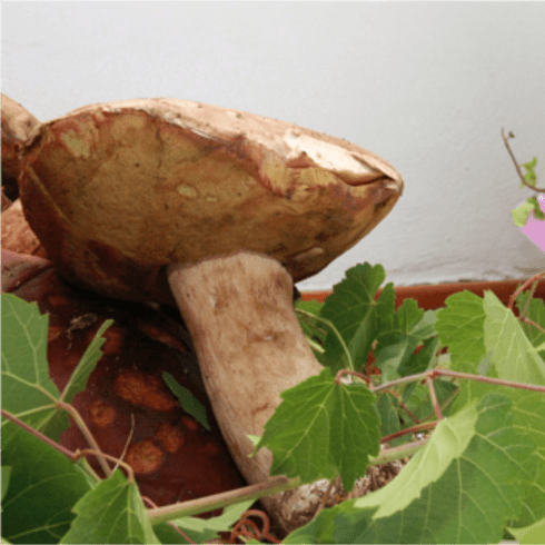 ristorante con piatti di funghi