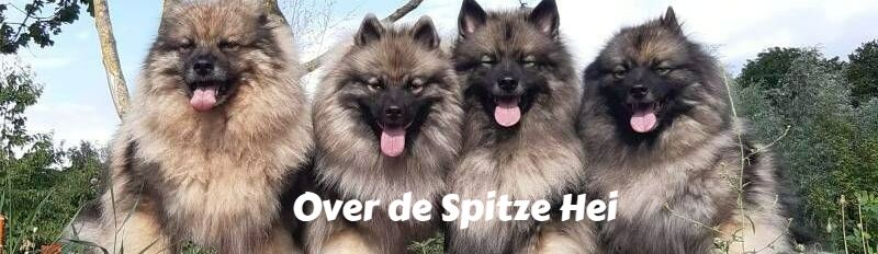 Over de Spitze Hei