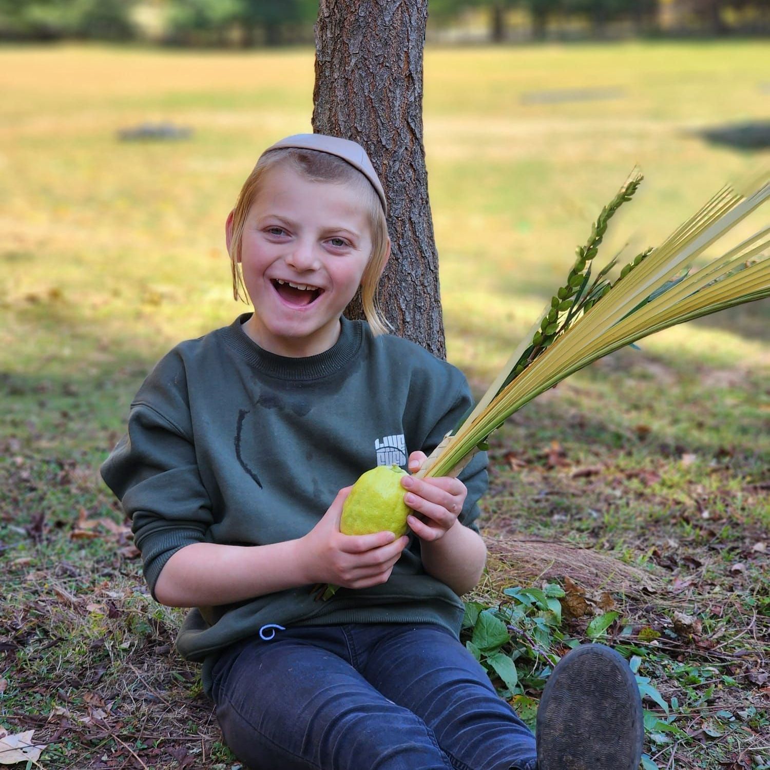 A young boy is sitting under a tree holding a lulav and esrog.