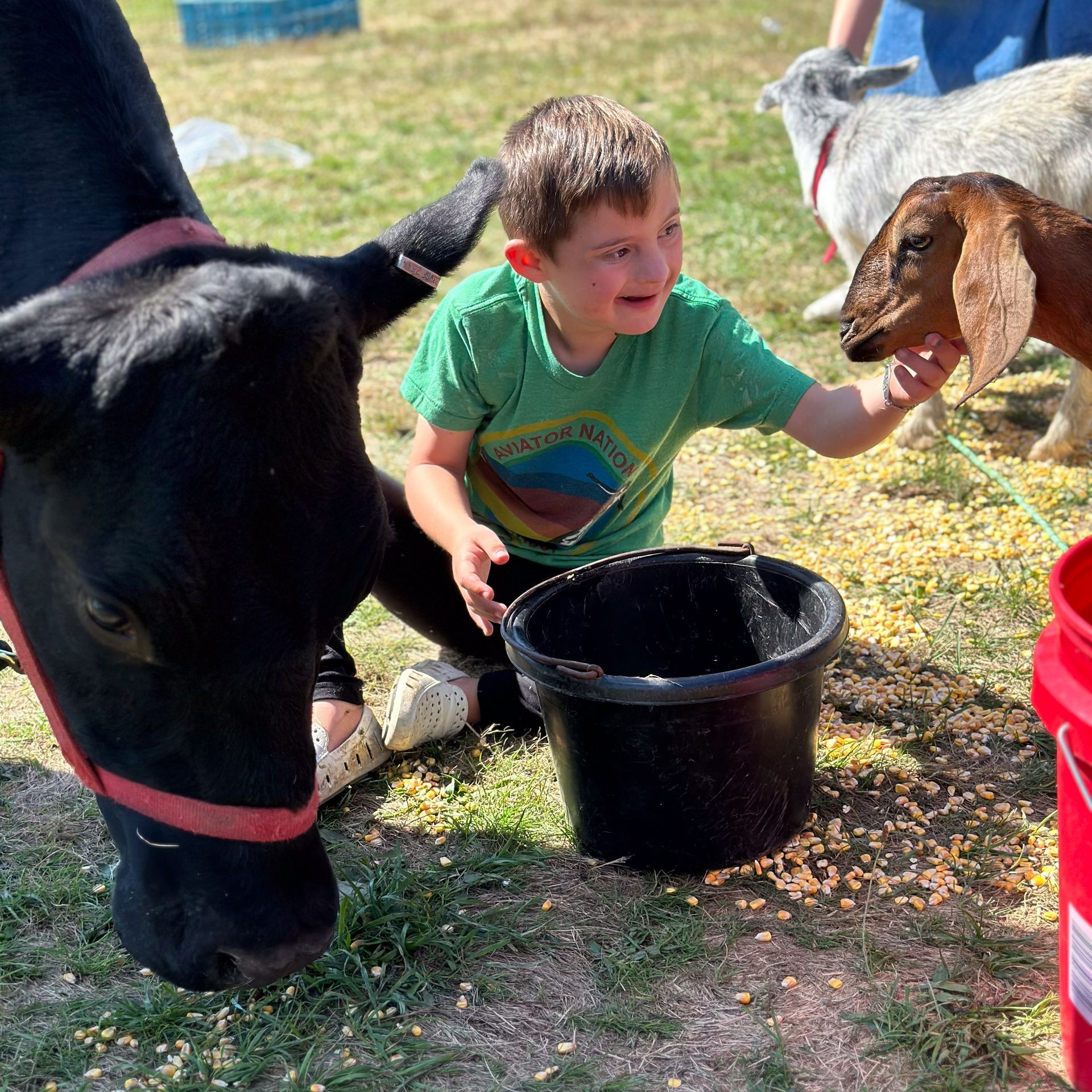 A boy in a green shirt is feeding a cow and a goat.