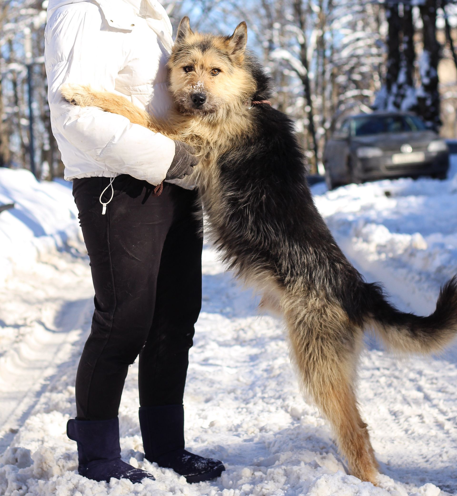 Platz gesucht für Zeus