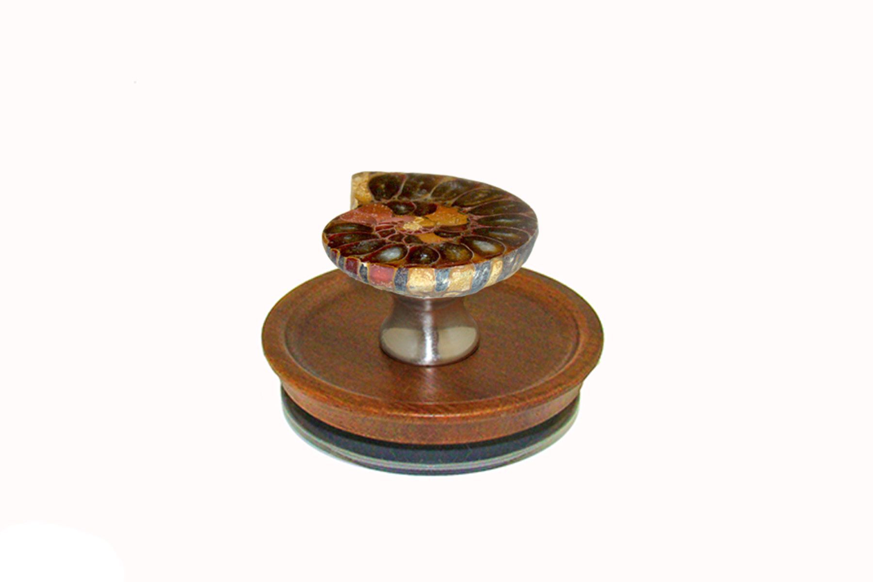 Ammnite Fossil Jar Topper