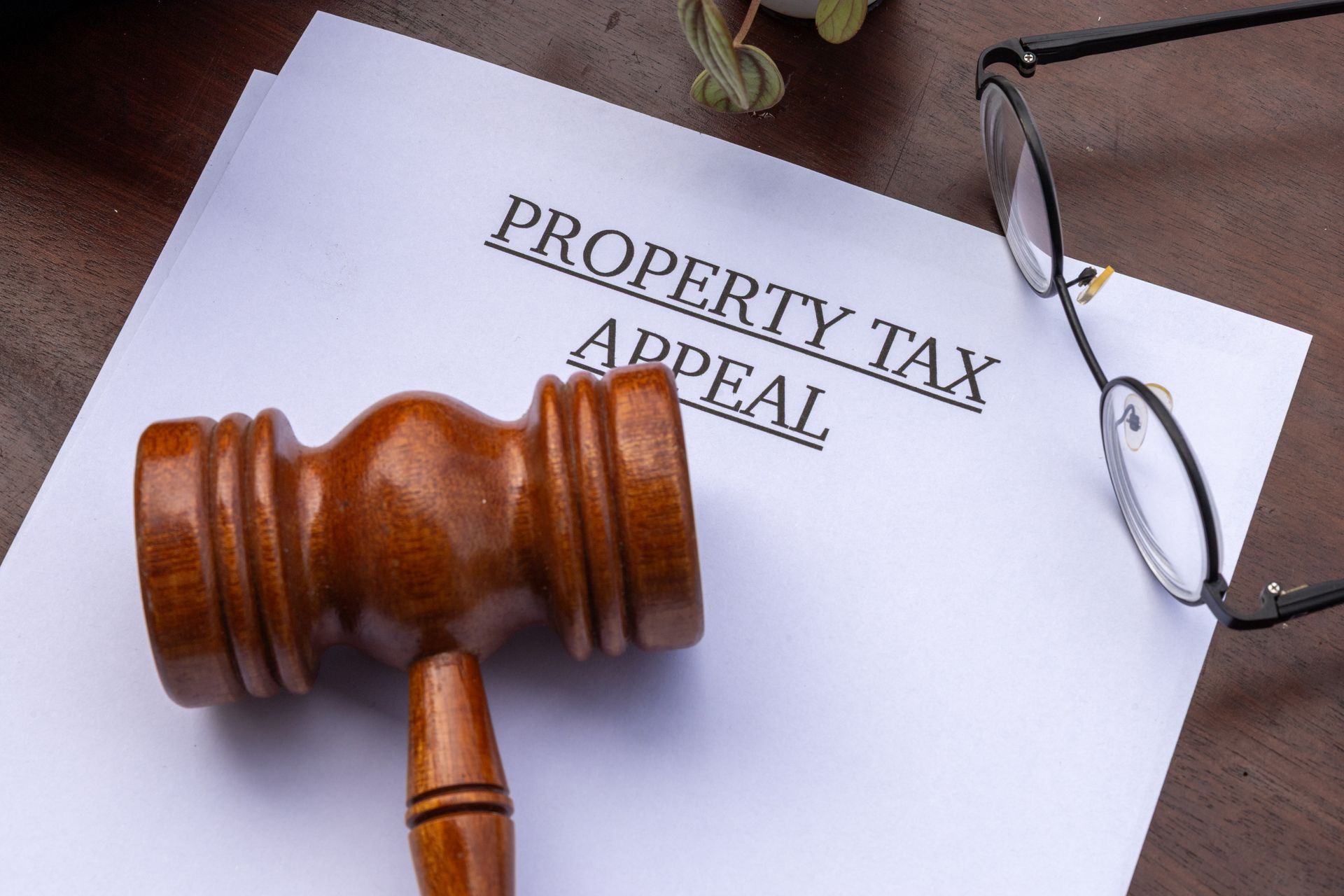 Wooden gavel on a document titled “PROPERTY TAX APPEAL” beside eyeglasses Wooden gavel on a document titled “PROPERTY TAX APPEAL” beside eyeglasses