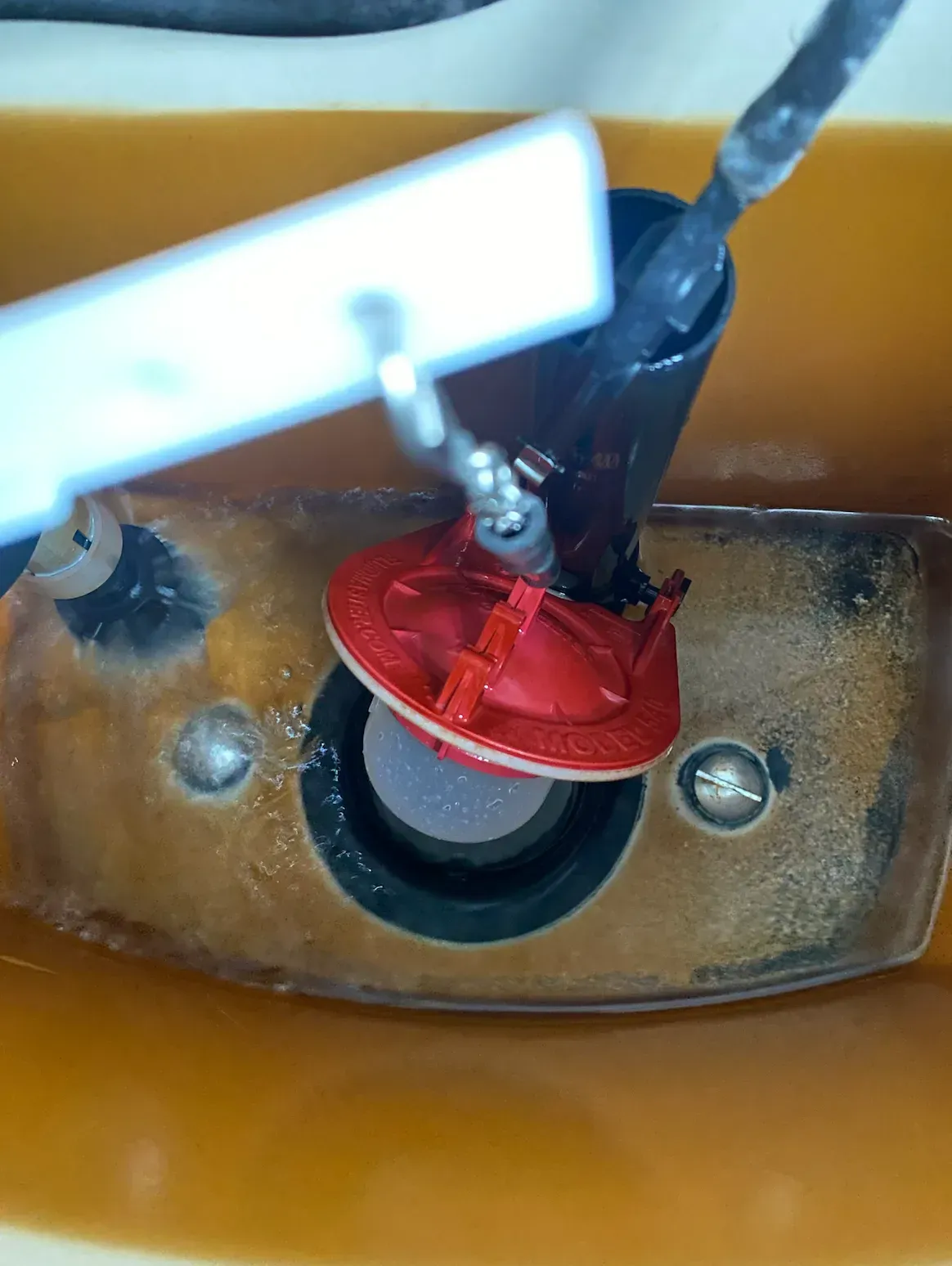 REPLACING YOUR TOILET FLAPPER REPLACING YOUR TOILET FLAPPER