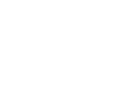 Political Campaigns Icon