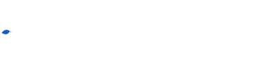 North Point Associates Logo