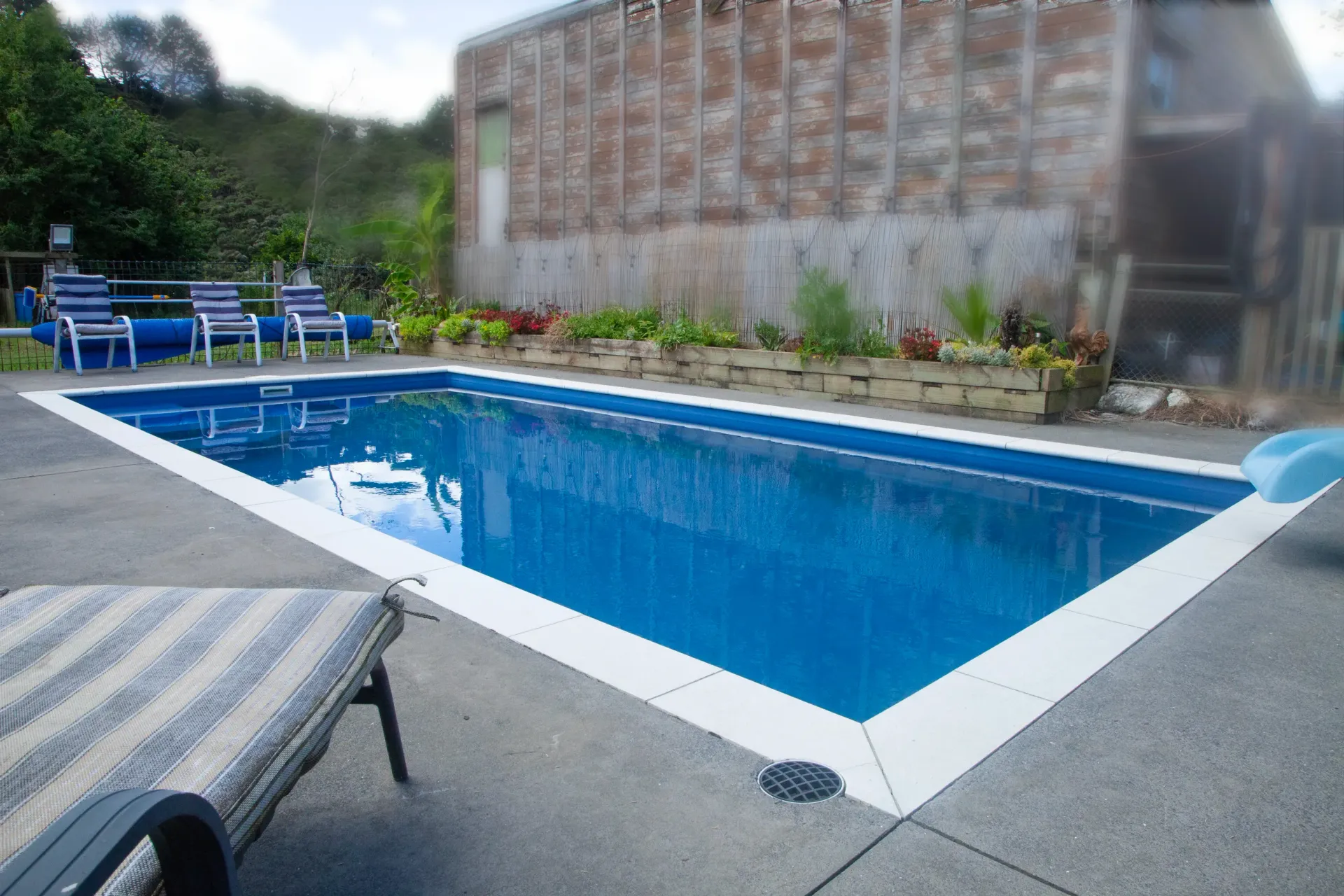 Rectangular blue swimming pool with white border, lounge chairs,  available with Makarau guest house accomodation rural Auckland.
