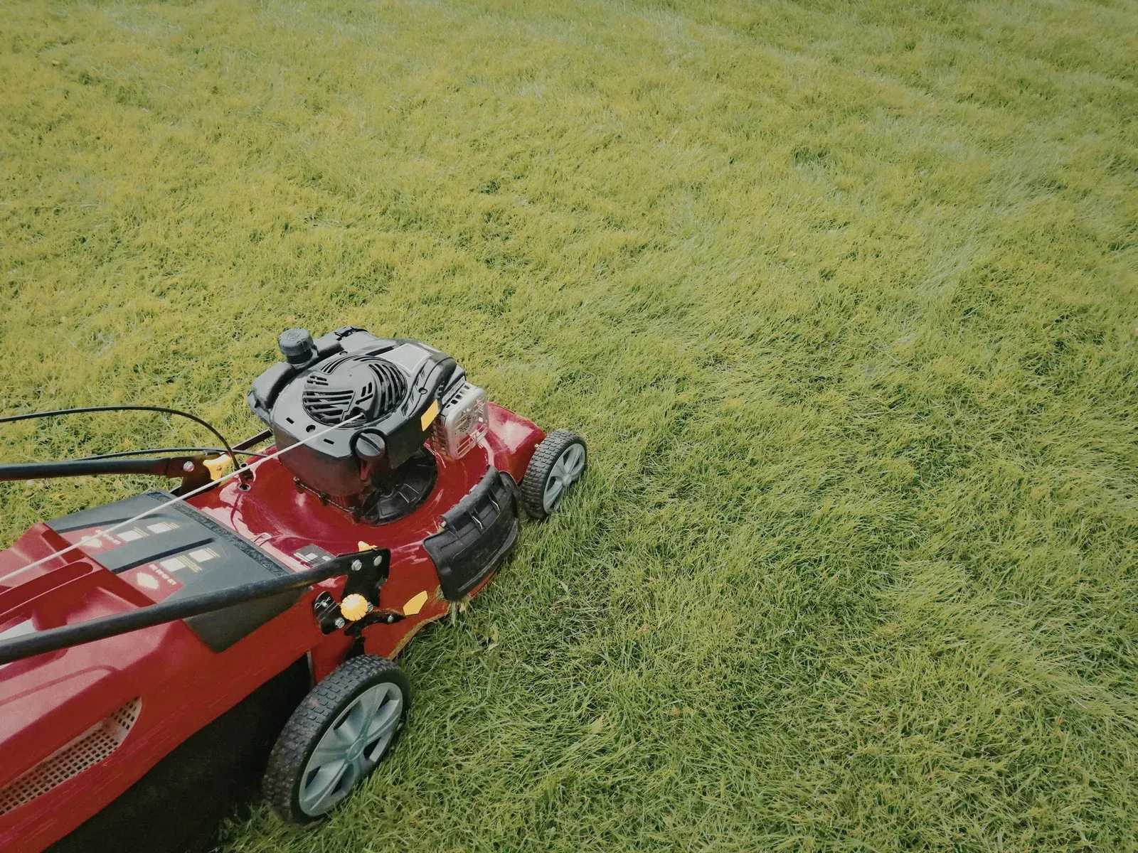 A high-angle view of a red lawnmower cutting short, green grass in a yard.
