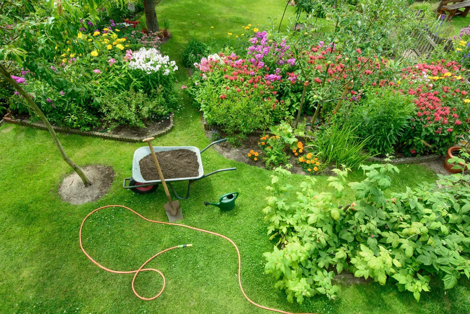 A vibrant garden with flower beds, a wheelbarrow filled with soil, a spade, a watering can, and a coiled hose on grass.