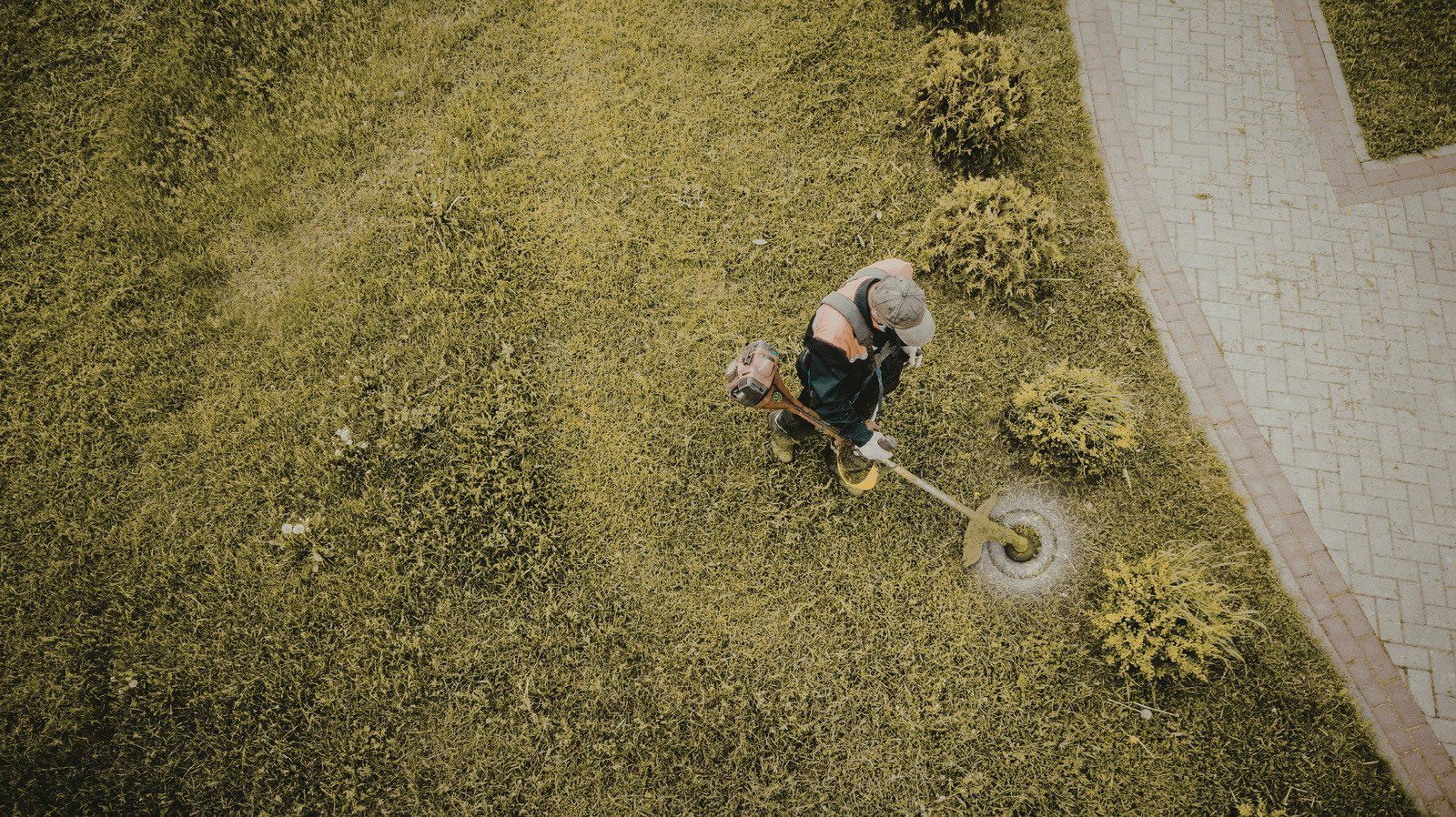 A person uses a string trimmer to cut grass in a lawn next to a paved path.