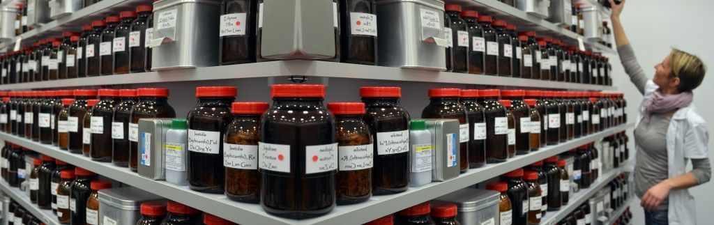 Reihen dunkler Glasgefäße in Lagerhallenregalen