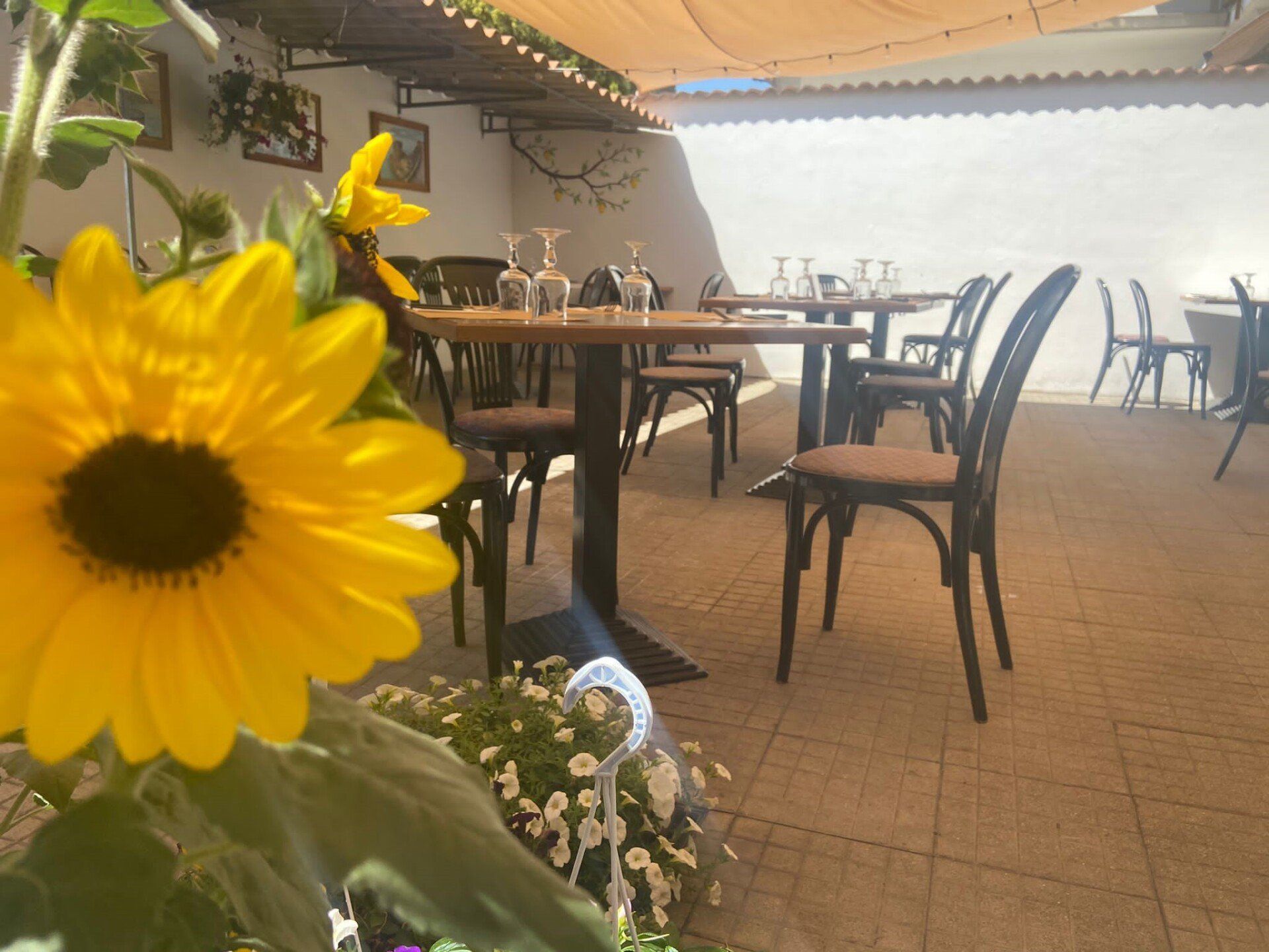 Un ristorante con tavoli e sedie e un girasole in primo piano