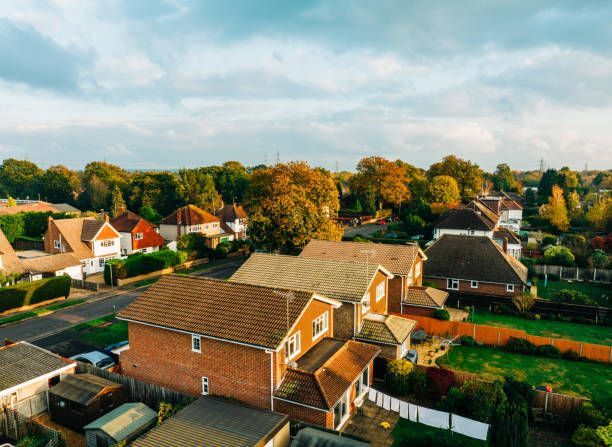 View of Suburban Houses — Auckland, NZ — The New Zealand House Inspection Company