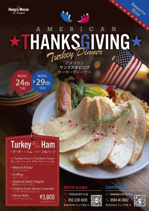 American Thanksgiving Flyer