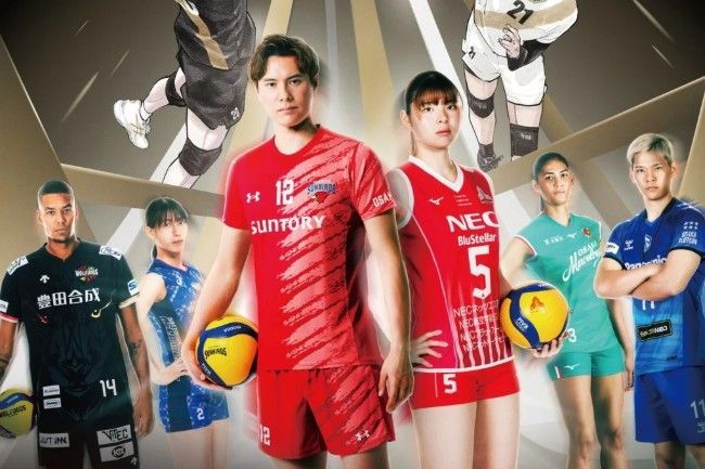 SVリーグ