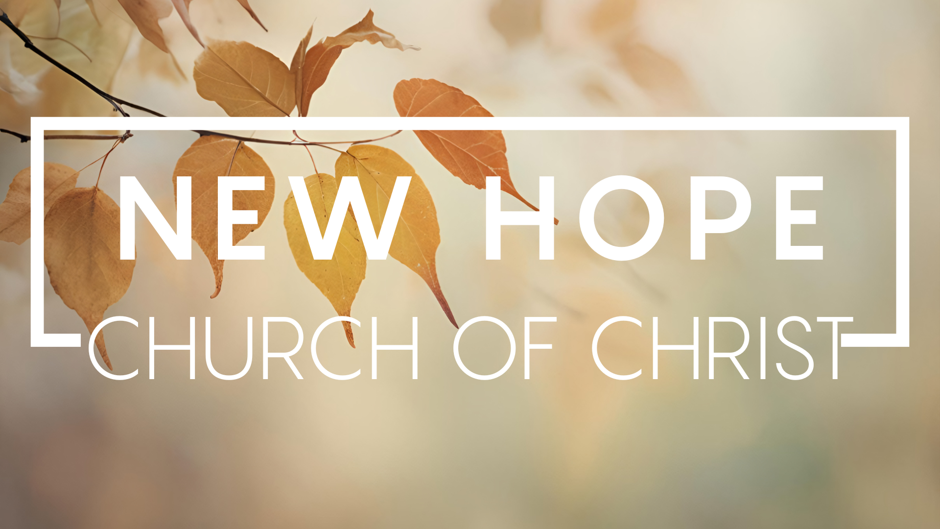 New Hope New Fall 2025 Banner

