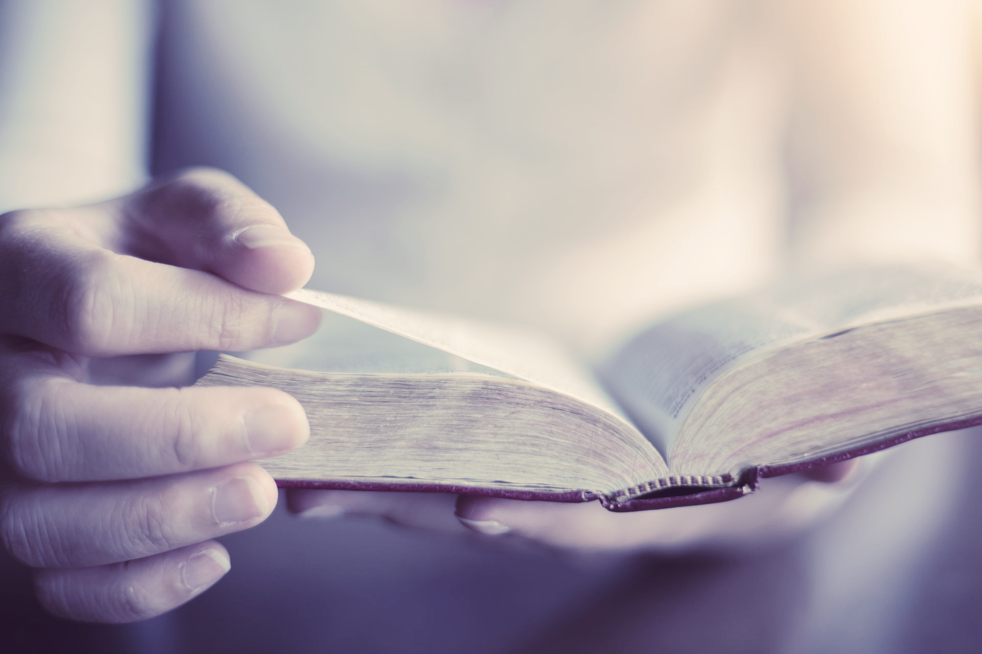 A person is holding an open bible in their hands.