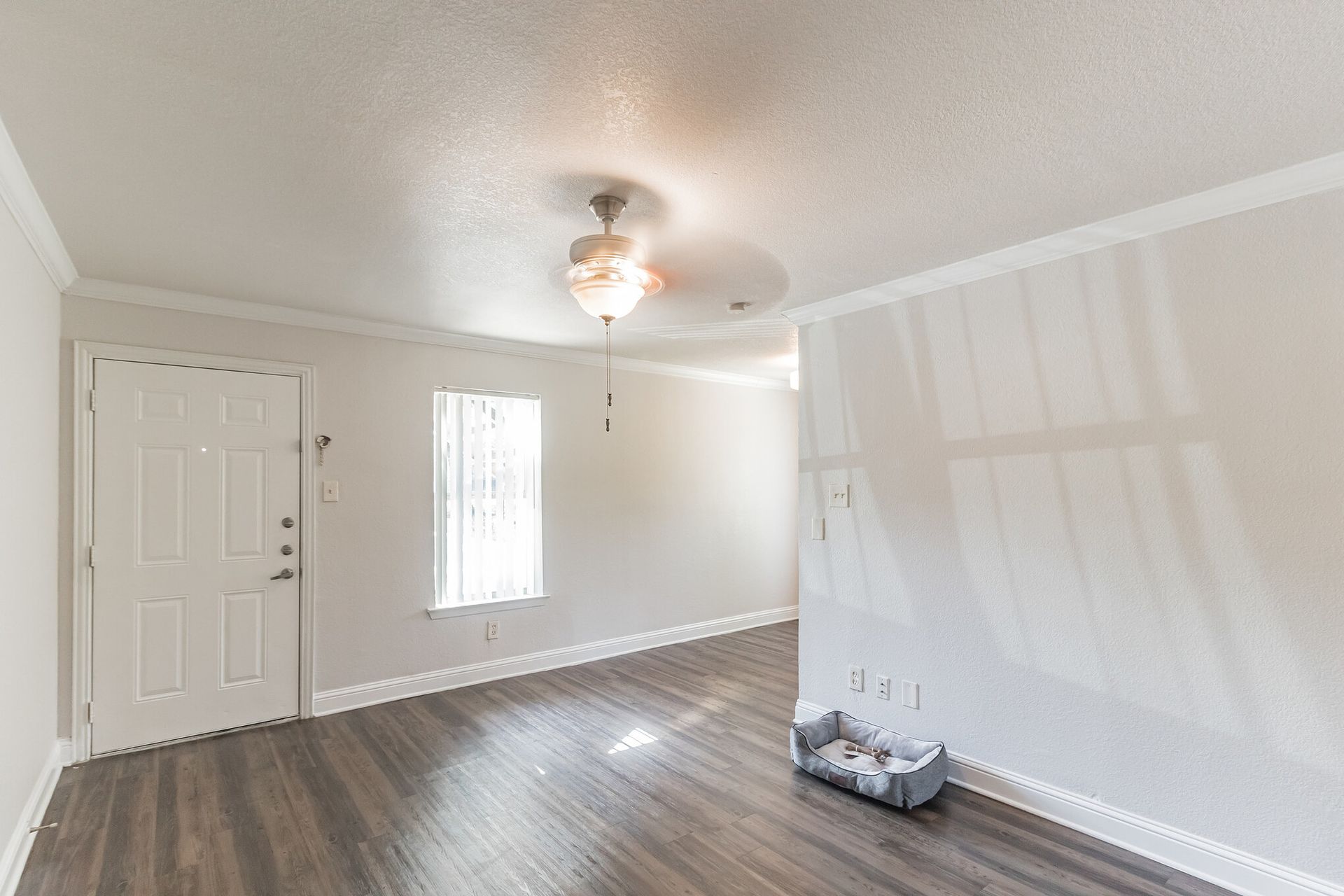 Photo of a living room showing the front door, the dining area and kitchen entrance are to the side of the photo