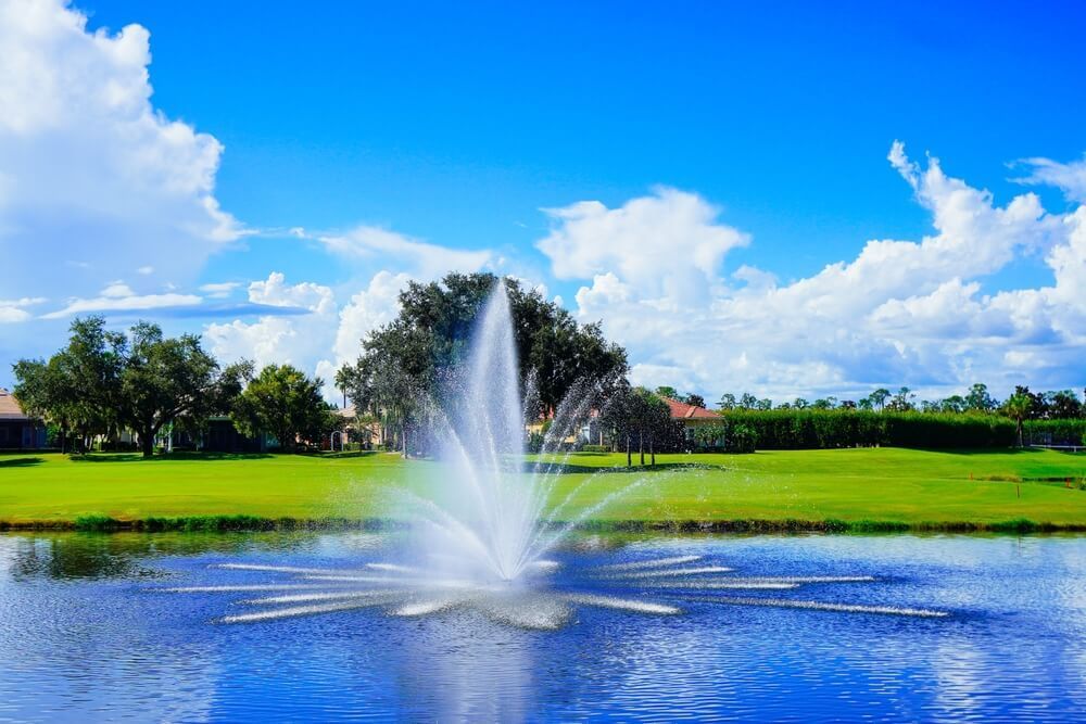 Fountain spraying in a blue pond in a sunny park with green grass and trees under a bright sky