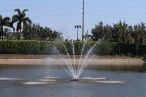 Fountain spraying in a pond under a clear blue sky, with trees and utility poles along the shore