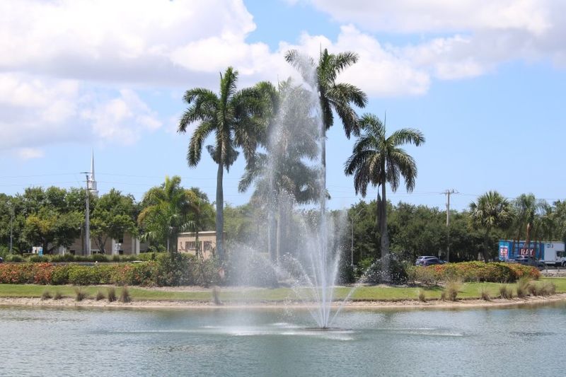Lake fountain spraying high water jets with palm trees and a blue sky in the background